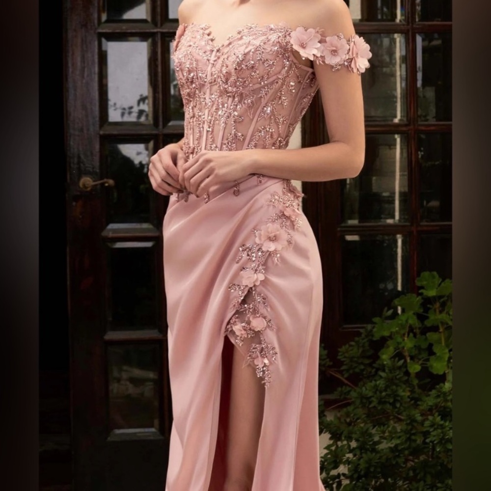 Cinderella Divine Dress